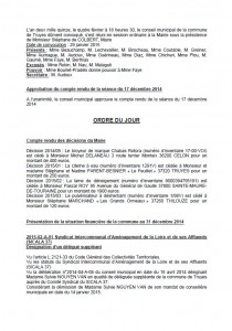 2015_02_04_Conseil Municipal